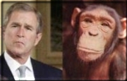 George Dubya, separated at birth??