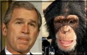 George Dubya, separated at birth??