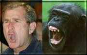 George Dubya, separated at birth??