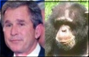 George Dubya, separated at birth??