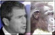 George Dubya, separated at birth??