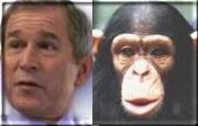 George Dubya, separated at birth??