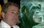 George Dubya, separated at birth??