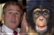 George Dubya, separated at birth??
