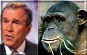 George Dubya, separated at birth??