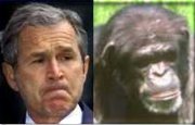 George Dubya, separated at birth??