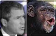 George Dubya, separated at birth??