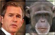 George Dubya, separated at birth??