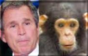 George Dubya, separated at birth??