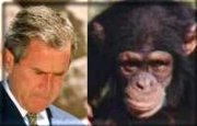 George Dubya, separated at birth??