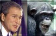 George Dubya, separated at birth??