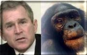 George Dubya, separated at birth??