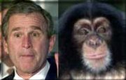 George Dubya, separated at birth??