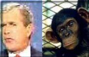 George Dubya, separated at birth??