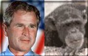 George Dubya, separated at birth??