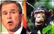 George Dubya, separated at birth??