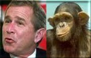 George Dubya, separated at birth??