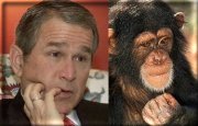 George Dubya, separated at birth??