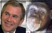 George Dubya, separated at birth??