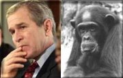 George Dubya, separated at birth??