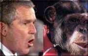 George Dubya, separated at birth??