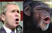 George Dubya, separated at birth??