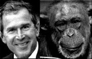 George Dubya, separated at birth??