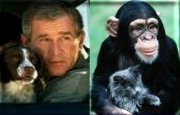 George Dubya, separated at birth??