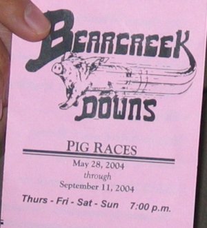 pig races flyer