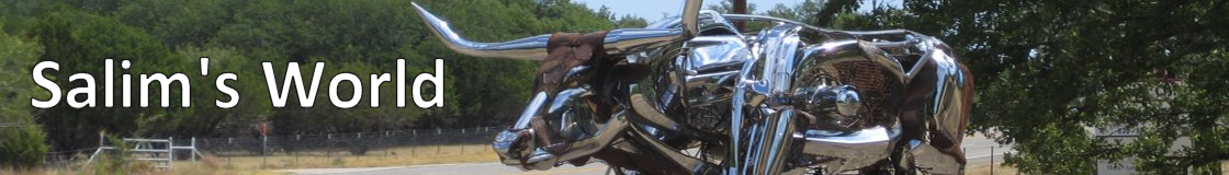 Salim's World